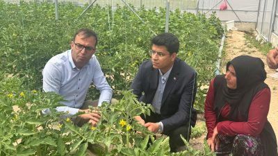 Güzelyurt Kaymakamı Muammer Yetiş, İlçe Tarım Müdürü ile birlikte Selime’deki