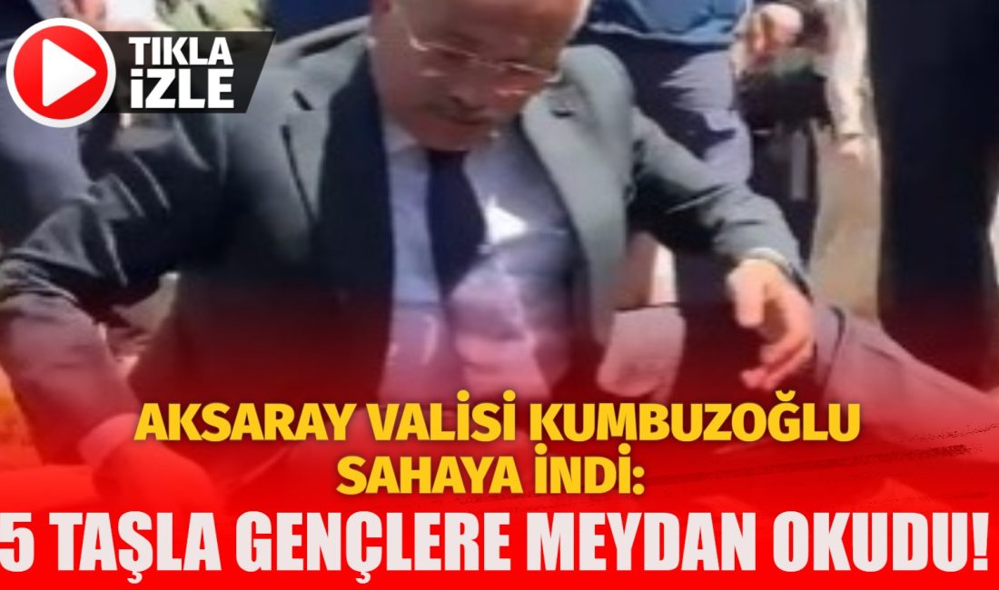Aksaray Valisi Mehmet Ali