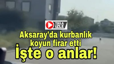 Aksaray’da bayramın birinci günü sahibinden kaçan kurbanlık koyun mahallede kovalamacaya