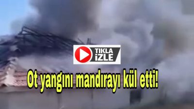 Çevredeki otları ve kılçıkları temizlemek adına otları yakan bir kişinin