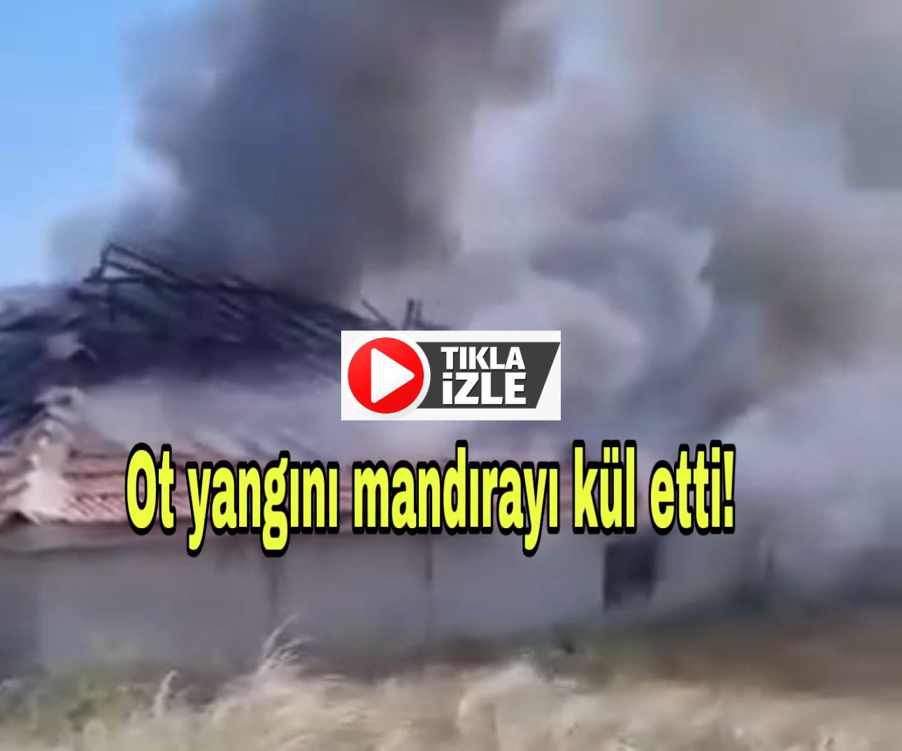 Ot yangını mandırayı kül etti!