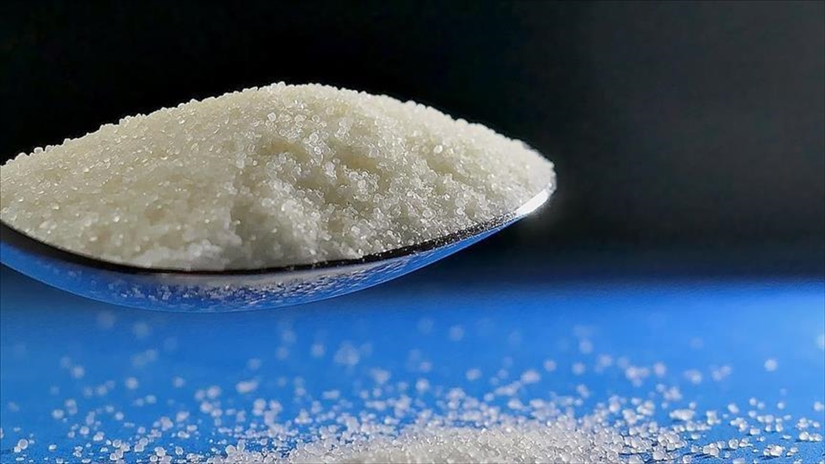 Trakya Üniversitesi Tıp Fakültesi İç Hastalıkları Ana Bilim Dalı Öğretim