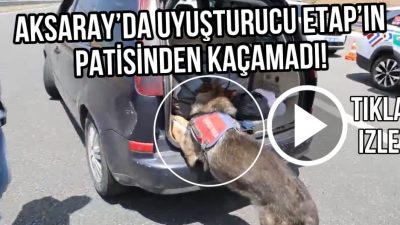 Aksaray’da jandarmanın durdurduğu araçta narkotik köpeği Etap, uyuşturucuyu koklayıp patisiyle
