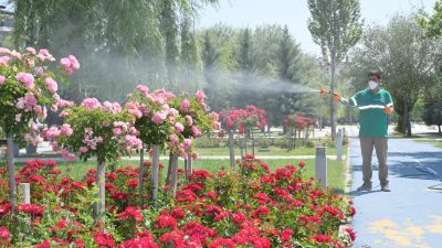 Aksaray Belediyesi, halk sağlığı için sivrisinek ve diğer haşerelere karşı