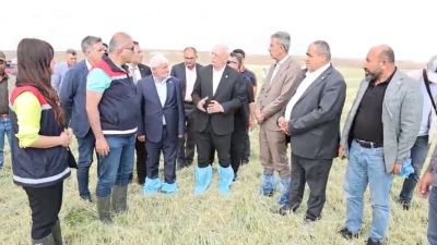 Aksaray’da dolu ve sel felaketinin ardından tarım arazilerini yerinde inceleyen