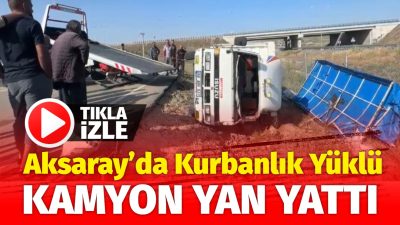 Aksaray’ın Alayhan köyü yakınlarında kurbanlık büyükbaş hayvan yüklü bir kamyonet