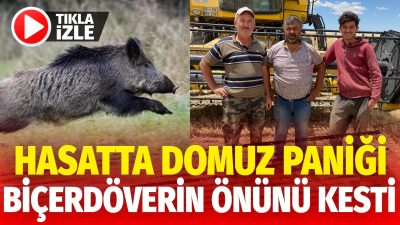 Aksaray’ın Kutlu Köyü’nde bir tarlada biçerdöverle hasat yapan Fikret Erkabadayı