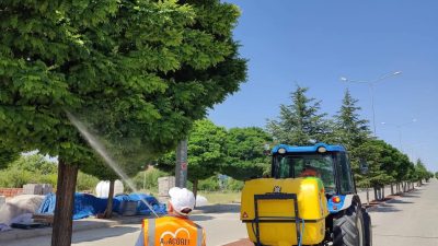 Ağaçören’de ilçenin farklı noktalarında yapılan ilaçlama çalışmalarıyla sinek ve haşerelerle