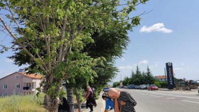 Ağaçören Belediyesi, çevre bilincini artırmak ve ilçede daha temiz bir