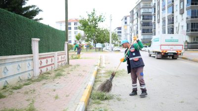 Aksaray Belediyesi ekipleri Fatih Mahallesinde peyzaj, çevre ve yabani ot