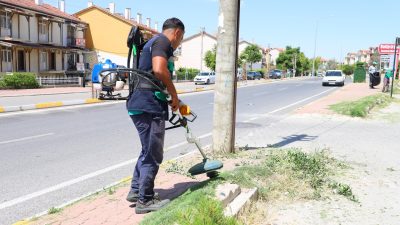 Aksaray Belediyesi, şehir genelinde yürüttüğü çevre düzenleme ve temizlik çalışmalarına