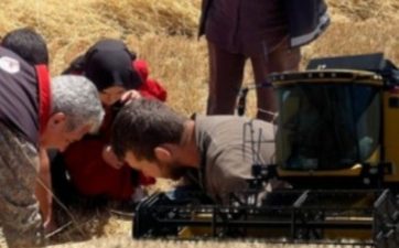 Aksaray İl Tarım ve Orman Müdürlüğü ekipleri, hububat hasadının başladığı