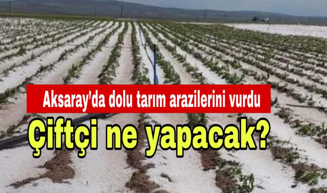 Aksaray’da dolu tarım arazilerini vurdu; Çiftçi ne yapacak?