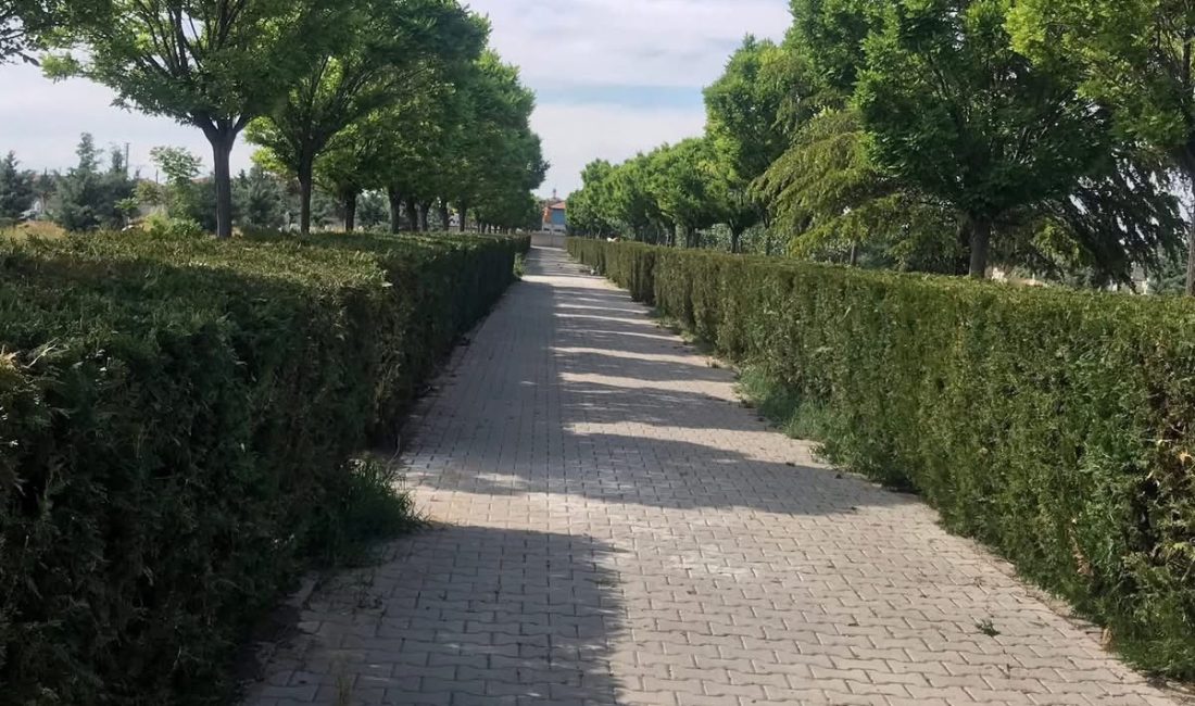 Kurban Bayramı yaklaşırken Yenikent beldesinde bayram hazırlıkları hız kazandı. Yenikent