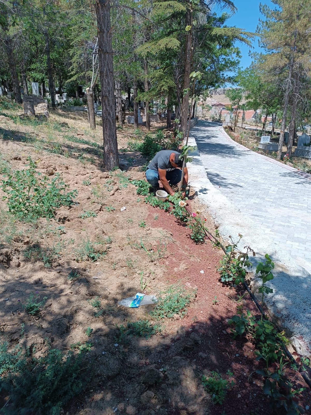 Demirci Belediyesi, doğaya duyarlı ve verimli şehircilik anlayışı doğrultusunda park