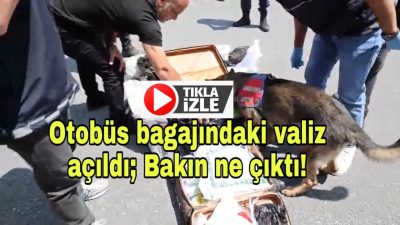 Aksaray’da jandarmanın şüphe üzerine durdurduğu otobüsün bagajından, bir yolcunun valizinde
