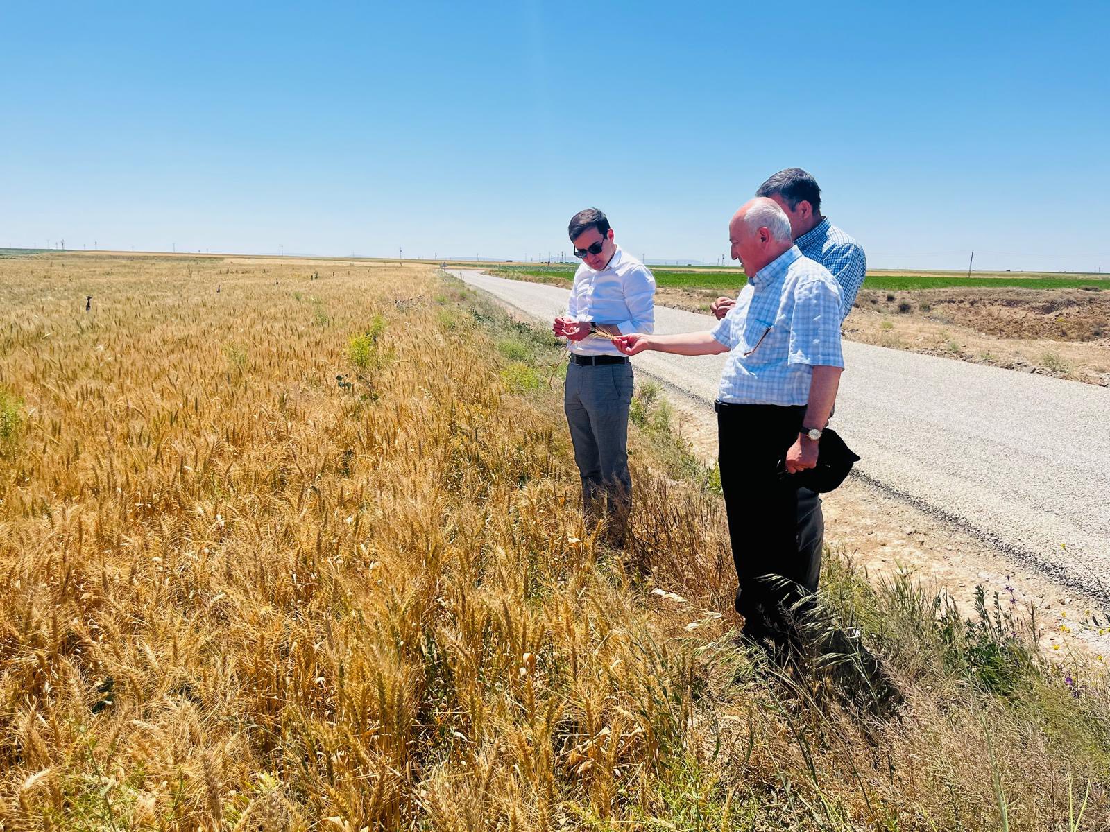 Eskil Kaymakamı Fuat Yurddaş, ilçeye bağlı köylerde yürütülen çalışmaları yerinde
