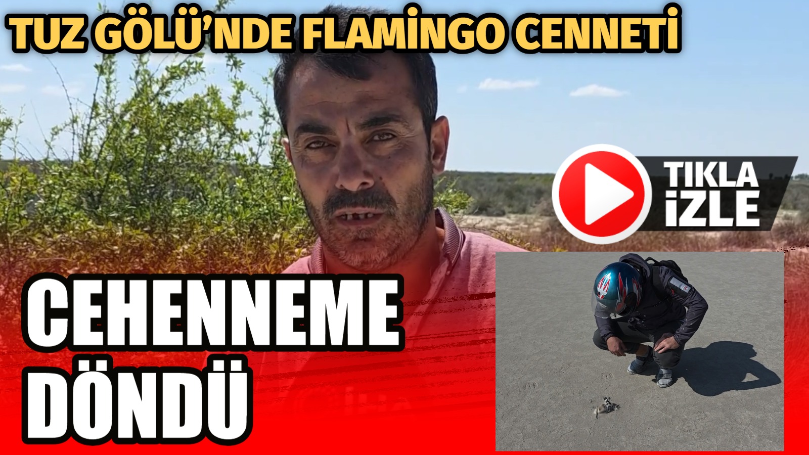 Aksaray’ın Eskil ilçesi yakınlarında bulunan Tuz Gölü’nde yüzlerce flamingo ölü