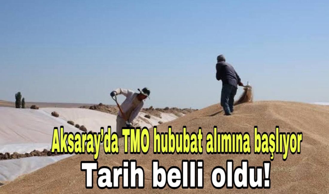 Lisanslı depolarda alım için