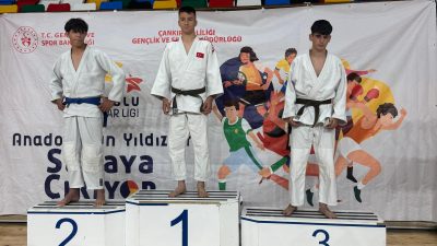 Gençlik ve Spor Bakanlığı koordinesinde düzenlenen Anadolu Yıldızlar Ligi (Analig)