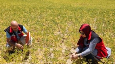Aksaray İl Tarım ve Orman Müdürlüğü’ne bağlı Bitkisel Üretim ve