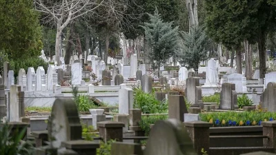 Türkiye İstatistik Kurumu, 2024 yılına ilişkin ölüm ve ölüm nedenleri