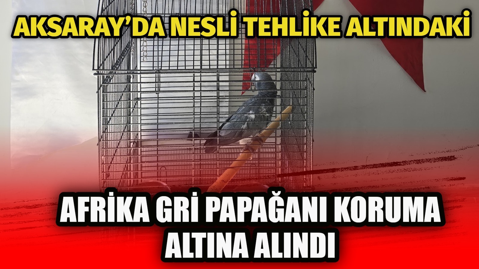 Aksaray’da Doğa Koruma ve Milli Parklar Şube Müdürlüğü ekipleri tarafından