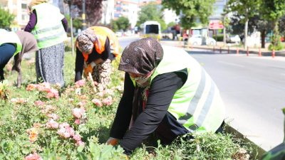 Aksaray Belediyesi, şehir estetiği ve çevre bilinci doğrultusunda Atatürk Bulvarı’nda