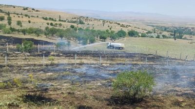 Sarıyahşi ilçesinde ormanlık alanda çıkan yangın, belediye ve itfaiye ekiplerinin