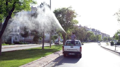 Yaz mevsiminin gelmesiyle birlikte sıcaklıkların artması, haşere ve sinek popülasyonunda