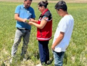 TAKE Projesi kapsamında üreticilerin çalışmalarını yerinde inceleyen Tarım Orman Müdürlüğü