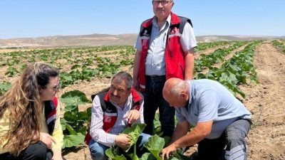 Aksaray İl Tarım ve Orman Müdürlüğü ile Sakarya Mısır Araştırma