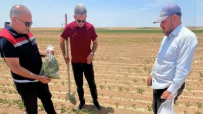 Aksaray İl Tarım ve Orman Müdürü Nejdet Demir, şehir içerisindeki