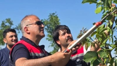 Aksaray İl Tarım ve Orman Müdürü Nejdet Demir, il genelinde