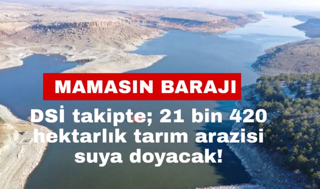 DSİ Genel Müdür Yardımcısı Mehmet Ekinci, Mamasın Barajı’ndaki yenileme çalışmalarını