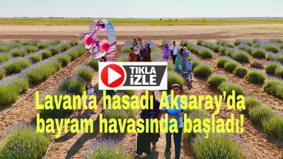 Aksaray Belediye Başkanı Evren Dinçer, lavanta bahçesinin kapılarını açtı: Hem