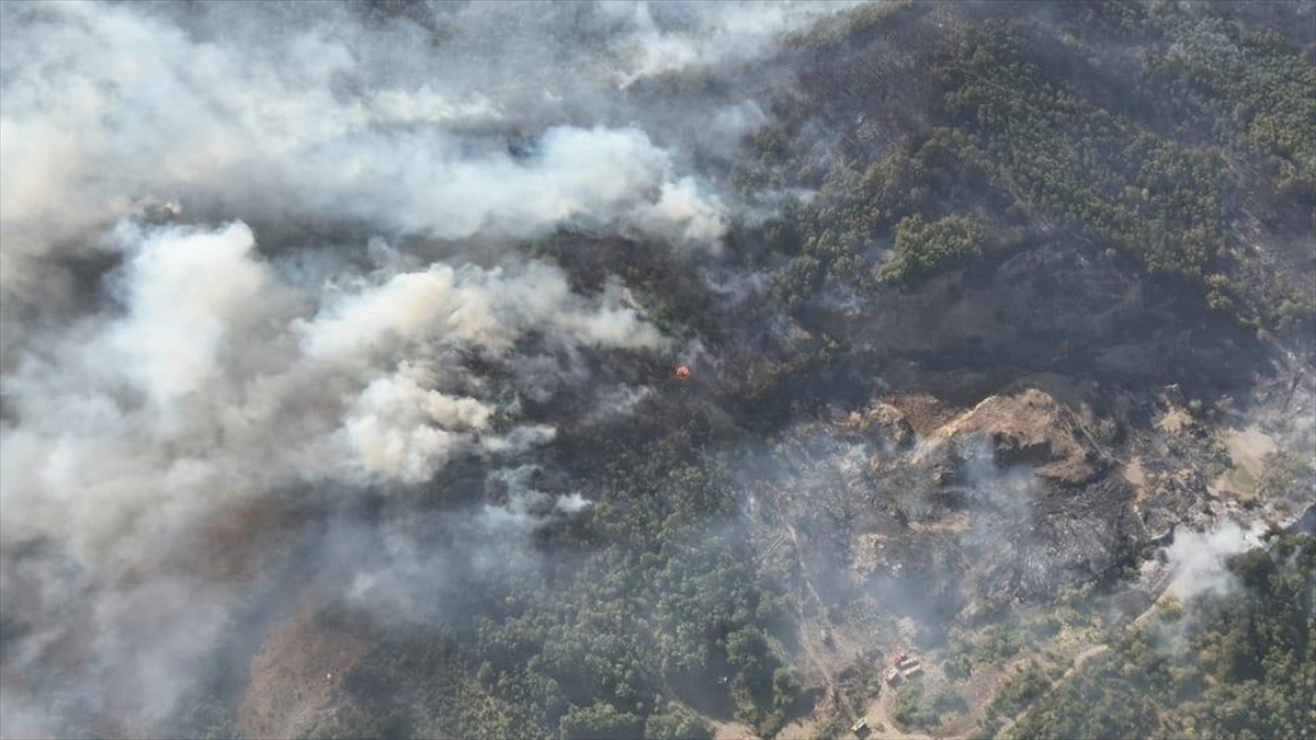 İçişleri Bakanı Ali Yerlikaya tarafından yapılan açıklama kapsamında orman yangınlarına