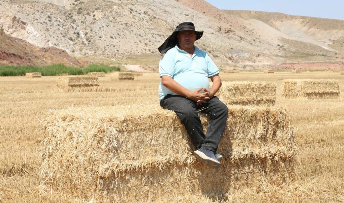 Sıcakta saman mesaisi: 38 derecede umudu biçiyorlar! Aksaray’da 38 dereceyi bulan sıcaklıkta üreticiler, saman balyasıyla hem hayvanların