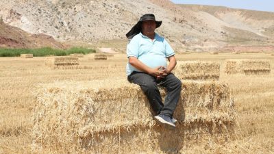 Aksaray’da 38 dereceyi bulan sıcaklıkta üreticiler, saman balyasıyla hem hayvanların