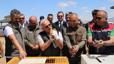 Aksaray’da doğaya 500 kınalı keklik salındı. Vali Kumbuzoğlu, doğal denge