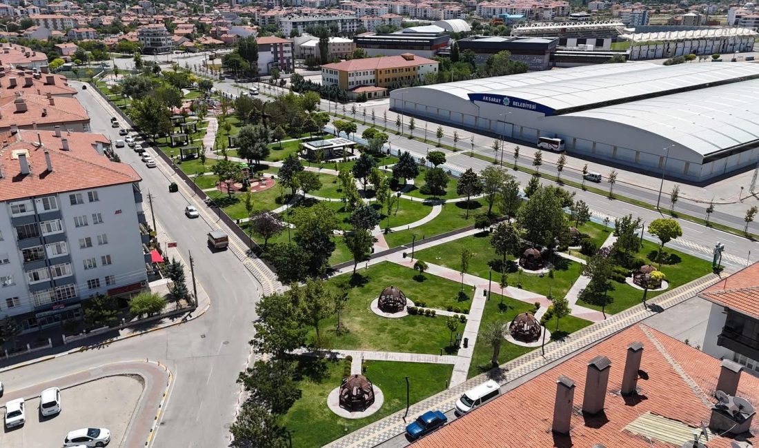Yeşilin kalbinde, kitap okuyan gençten oyun oynayan çocuğa, kamelyada sohbet