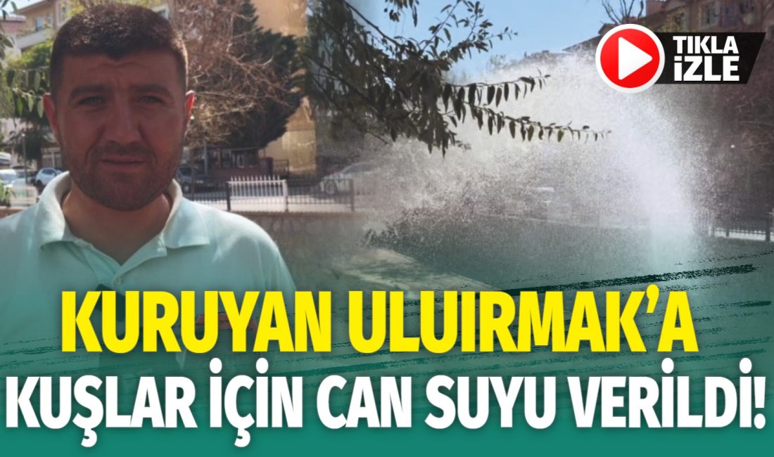 BAŞKAN DİNÇER; "KUŞLAR VE GÜVERCİNLER İÇİN EVLERİMİZİN ÖNÜNE BİR KAP
