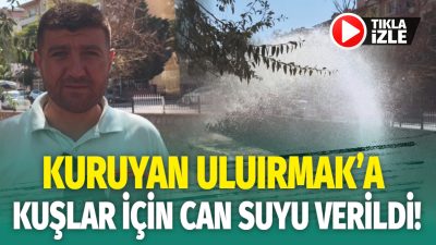 BAŞKAN DİNÇER; "KUŞLAR VE GÜVERCİNLER İÇİN EVLERİMİZİN ÖNÜNE BİR KAP
