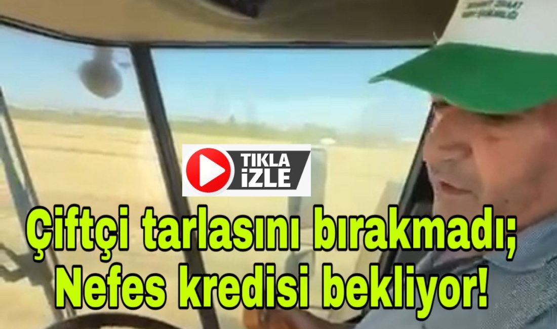 Aksaray Ziraat Odası Başkanı Koçak, hem biçerdöverle hasat yaptı hem