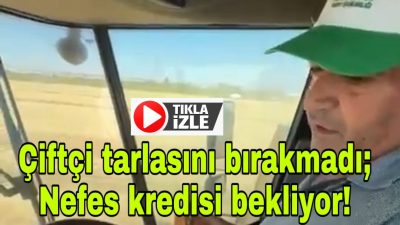 Aksaray Ziraat Odası Başkanı Koçak, hem biçerdöverle hasat yaptı hem