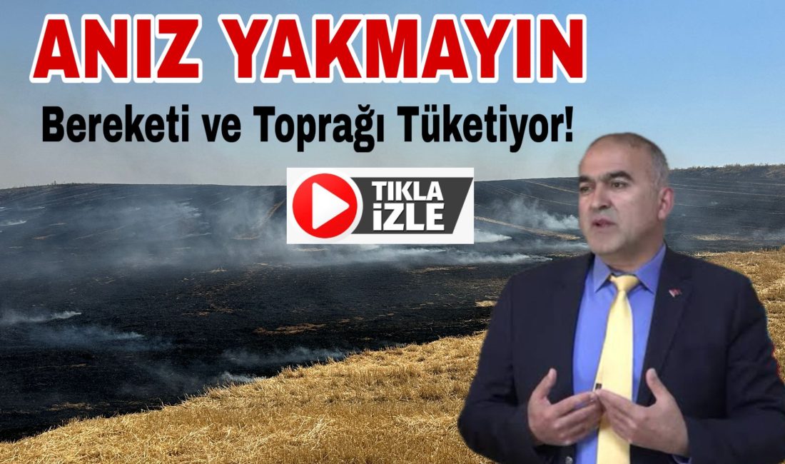 Tarım İl Müdürü Nejdet Demir, anız yakmanın doğaya verdiği zararları