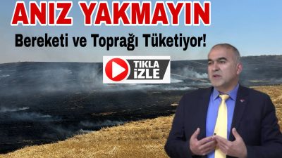 Tarım İl Müdürü Nejdet Demir, anız yakmanın doğaya verdiği zararları