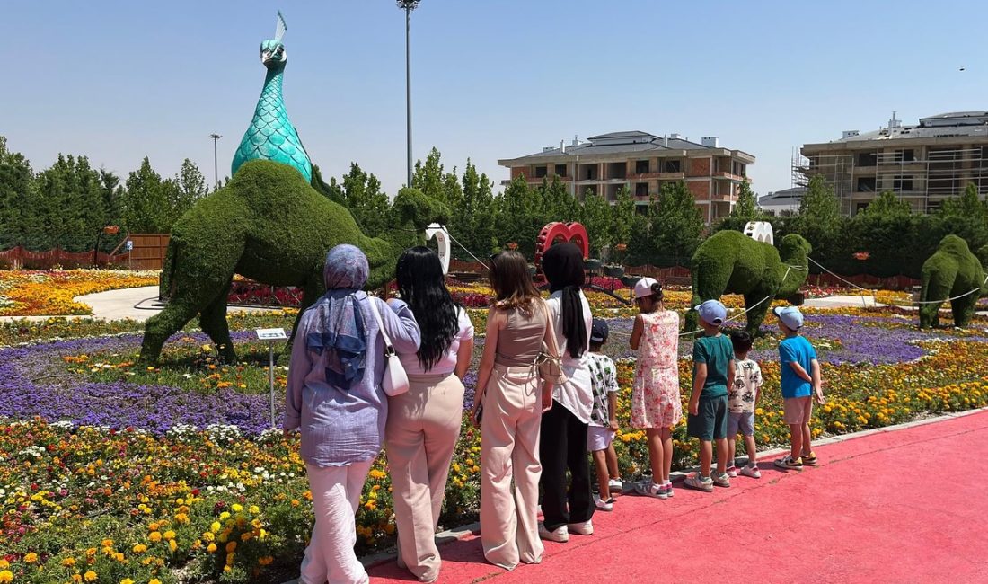 Aksaray Aile ve Sosyal Hizmetler İl Müdürlüğü, çocukların sosyal gelişimlerine