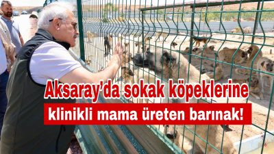 Vali Kumbuzoğlu, 120 bin m² alanda kurulan bakımevinde incelemelerde bulundu;
