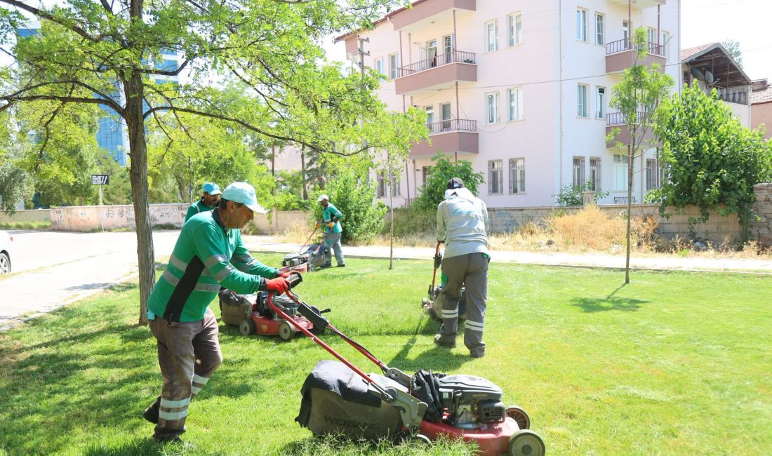 Aksaray Belediyesi, şehir estetiği ve çevre sağlığı kapsamında yeşil alan